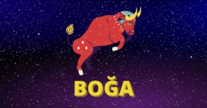 Boğa Burcu Erkeği Özellikleri