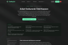 CashyGo anket görevleri sayfası ekran görüntüsü